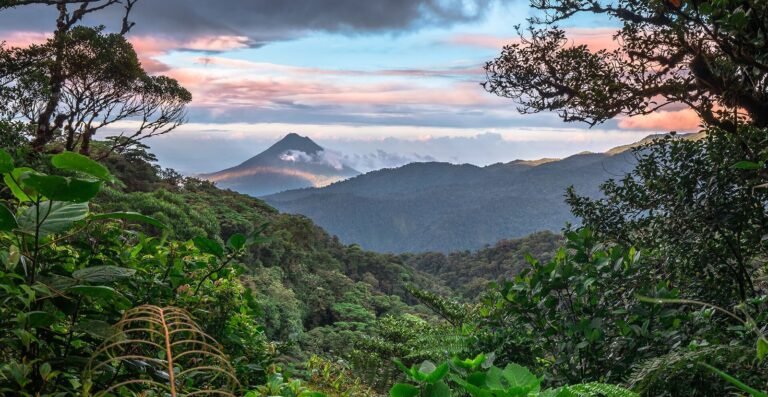 Costa Rica vs Peru for Faculty-Led Biology Programs: Cost & Outcomes Compared