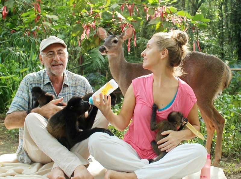 Wildlife conservation fieldwork in Costa Rica